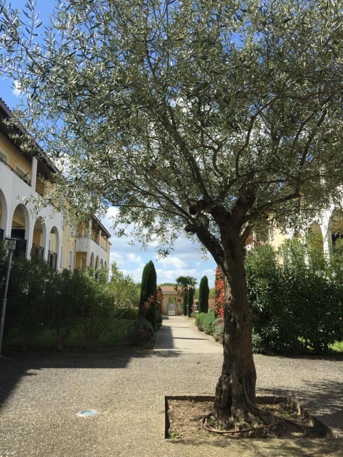 Appartamento Les Capucins Carcassonne Esterno foto